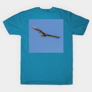 Turkey Vulture in a Blue Sky T-Shirt